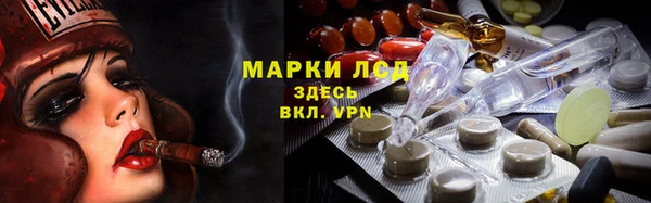 мдпв Верея