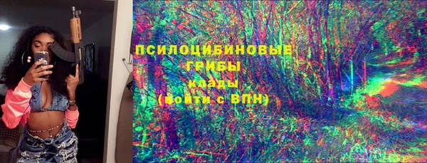 ГАЛЛЮЦИНОГЕННЫЕ ГРИБЫ Бугульма