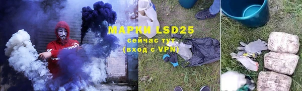 ГАЛЛЮЦИНОГЕННЫЕ ГРИБЫ Бугульма