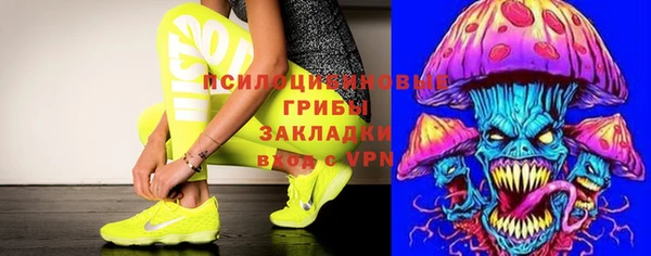 мдпв Верея