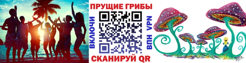 Псилоцибиновые грибы GOLDEN TEACHER  закладки  Вольск 