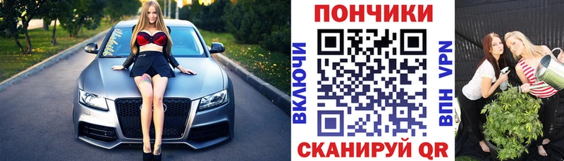 где найти наркотики  Вольск  Каннабис сатива 
