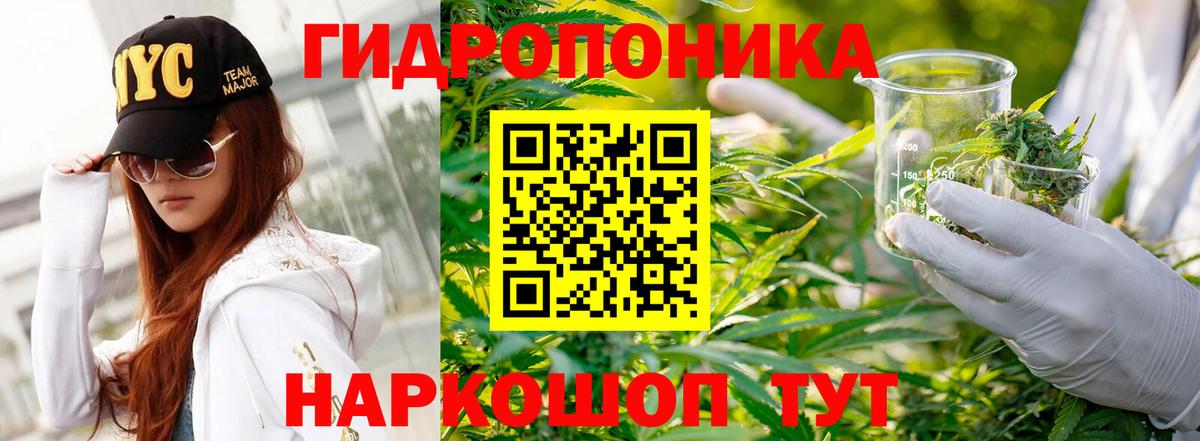 Бошки марихуана SATIVA & INDICA  Вход с VPN  Вольск  Каннабис Ganja 